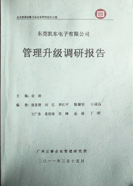 2011年3月15日，正睿咨詢專家向凱東決策層陳述調研報告