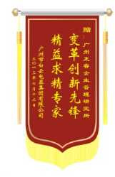 白云電氣集團(tuán)贈(zèng)送正睿咨詢變革創(chuàng)新先鋒，精益求精專家錦旗