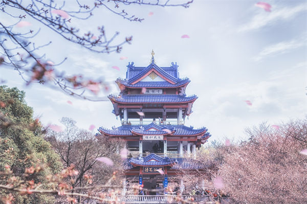 供應(yīng)鏈成本居高不下，無錫供應(yīng)鏈咨詢公司如何精準(zhǔn)砍出利潤空間？
