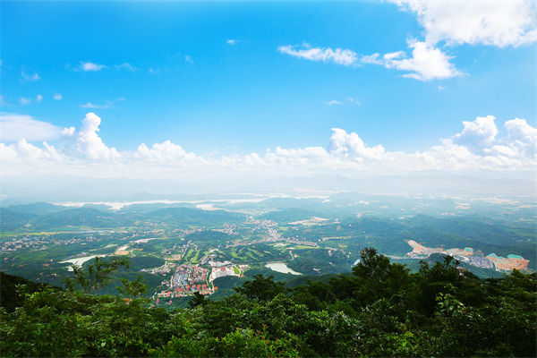 企業(yè)戰(zhàn)略飄在半空落地難，惠州戰(zhàn)略咨詢公司能錨定方向嗎？