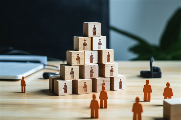 人力資源咨詢(xún)公司哪家好，適配企業(yè)戰(zhàn)略搭人才梯隊(duì)的