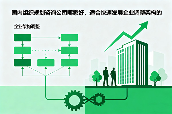 國內(nèi)組織規(guī)劃咨詢公司哪家好，適合快速發(fā)展企業(yè)調(diào)整架構(gòu)的