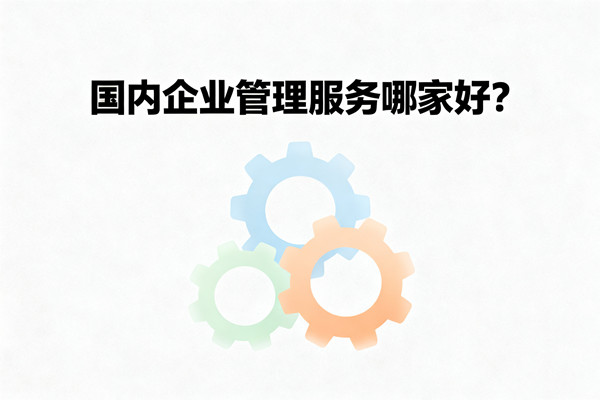 國(guó)內(nèi)企業(yè)管理服務(wù)哪家好？