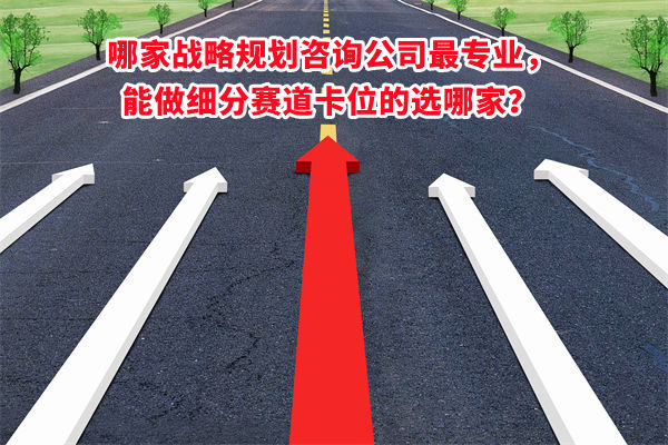 哪家戰(zhàn)略規(guī)劃咨詢公司最專業(yè)，能做細(xì)分賽道卡位的選哪家？
